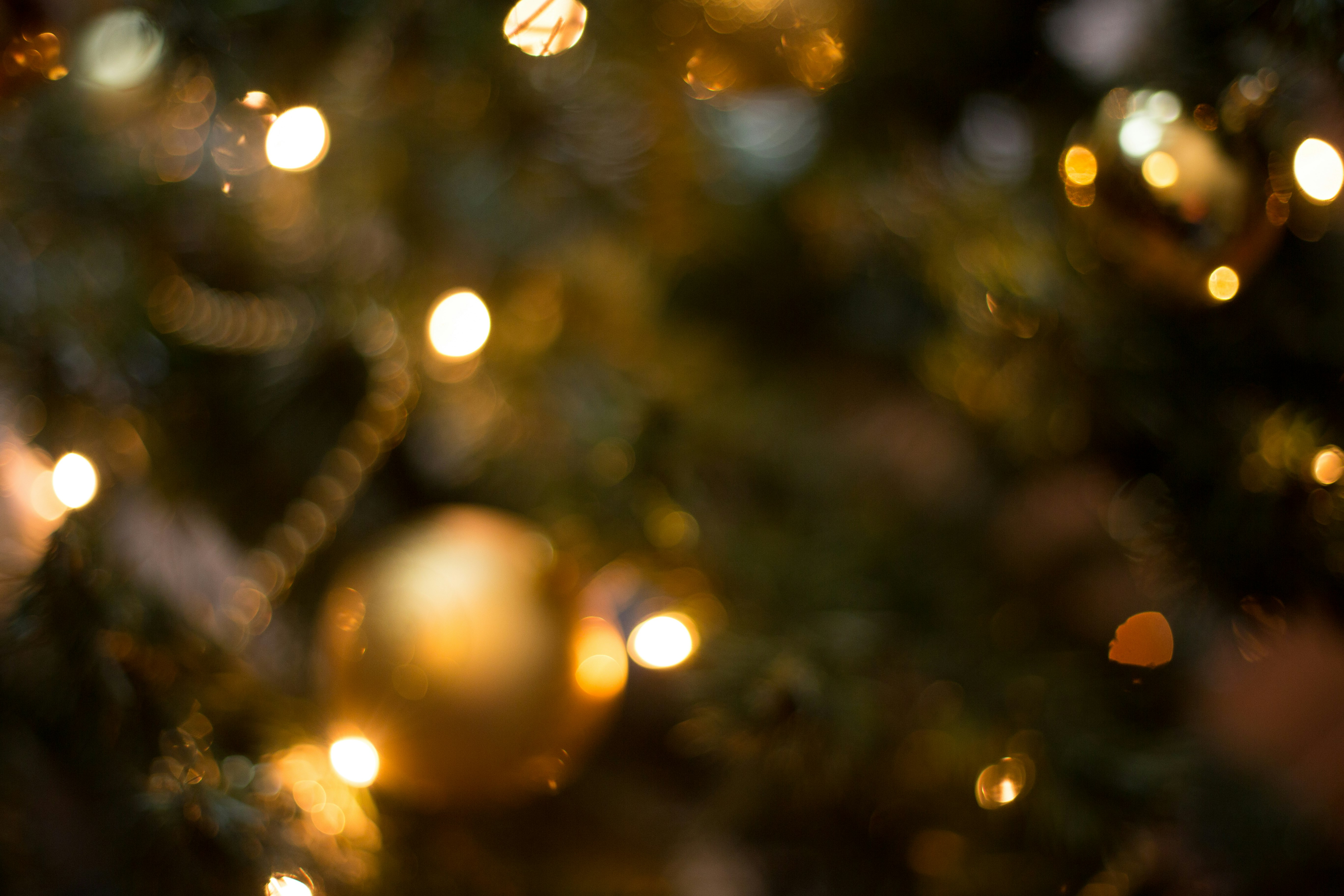 gold and white baubles in tilt shift lens